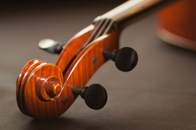 violin instrument
